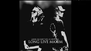 Big Baby Tape & Aarne & Lil Krystalll - long live maxim