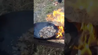 Печень с курдюком на огне