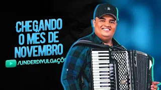 CHEGANDO O MÊS DE NOVEMBRO/CARMELITA | Tarcísio Do Acordeon