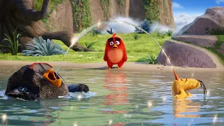 The Angry Birds Movie Hindi (08/14) The Lake Of Wisdom Scene Movie  Clips in Hindi.