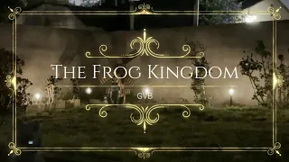 The Frog Kingdom ASMR - Night ambience