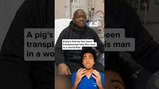 🐷🫘 World's first PIG KIDNEY transplant - Doctor Explains! #springonshorts