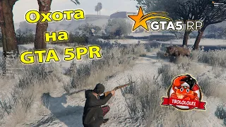 GTA 5 RP Лицензии и охота на гта 5 рп