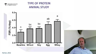 Dietary Strategies to Augment Muscle Mass in the Elderly