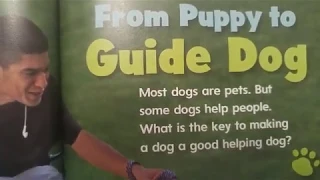 Unit 4: From Puppy to Guide Dog