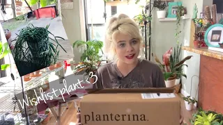 Planterina Unboxing 🤍😍