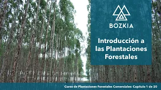 Introducción a las plantaciones forestales comerciales | PFC | Bozkia Training