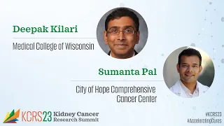 Rapid Abstract Presentations in Kidney Cancer Research: KCRS23 Session Eight | KidneyCAN