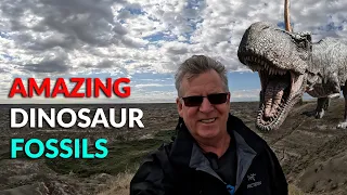 DINOSAUR 🦖BONES FOUND in CANADA