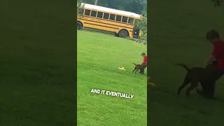 His dog didn’t want him to go to school 😂
