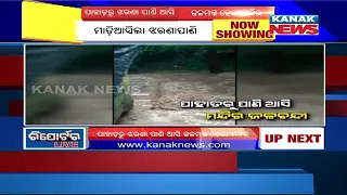 Reporter Live: Heavy Rainfall Batter Western Odisha, Waterfall Water Enters In Temple