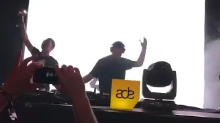 W&W live ADE rave culture