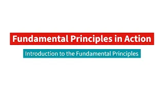 Fundamental Principles in Action | Introducing the Fundamental Principles