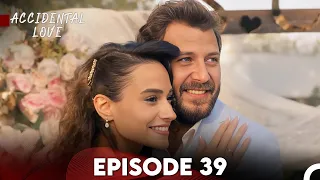 Accidental Love Episode 39 (FULL HD) - FINAL