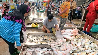 Cambodian Wholesale Fish Market Scenes - Massive Distribution Site in The Country