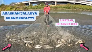 REKOR TERBARU,MENJALA IKAN DI MUARA SAMPAI MAU JEBOL JALANYA/NET FISHING