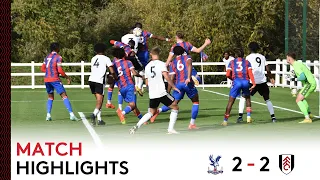 Crystal Palace U18 2-2 Fulham U18 | Premier League South | Close Contest In London Derby