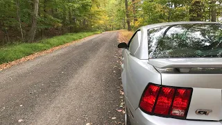 03 Mustang GT with Pypes H pipe/Flowmaster 40’s