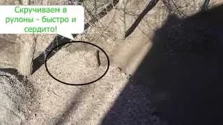 Приколы видео.Прикольная смекалка русских дворников!