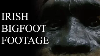 IRISH BIGFOOT FOOTAGE - Mountain Beast Mysteries Episode 32.