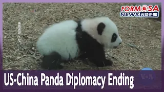 Is giant panda program in US a victim of US-China tensions? ｜Taiwan News