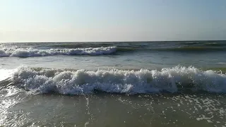 Море, медузы, блохи, волны 26.07.2021 степок, кирилловка, Федотова коса