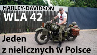 Harley-Davidson WLA42 - Jeden z niewielu w Polsce