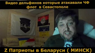 Z патриоты Лукашенко | Сборник видео с камер Дельфинов которые атаковали флот в Севастополе