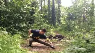 Wu Bu Quan 五步拳 (Five stances form) Part 2 Master Yan Xin