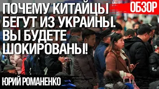 Почему граждане Китая и Египта бегут из Украины. Шокирующая правда. Держитесь