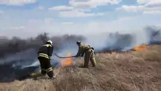 В Саратове горит трава. Пожар приближается к Богаевке