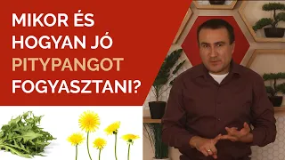 Mikor és hogyan jó Pitypangot fogyasztani?