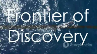 Unexpected Deep Sea Encounter: Whale Meets Scientists