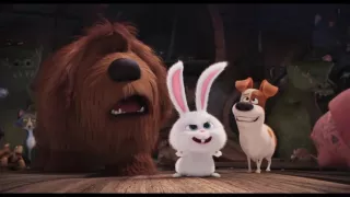 ENG  Трейлер Тайная жизнь домашних животных  The Secret Life of Pets 2016