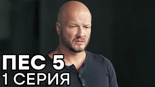 Сериал ПЕС - 5 сезон - 1 серия - ВСЕ СЕРИИ смотреть онлайн | СЕРИАЛЫ ICTV