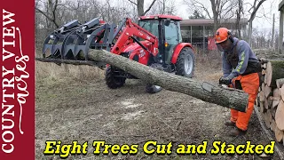 Working Smarter, Not Harder.  Using the Grapple to do the heavy lifting, while cutting up firewood.