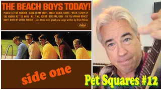 PET SQUARES #12 - Today! Side 1 (Geek's Guide to the Beach Boys)