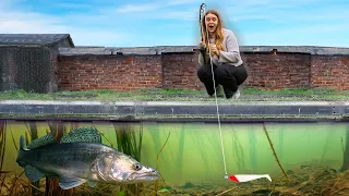 Searching For The UK's RECORD ZANDER