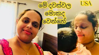 චුටි පැටියත්  එක්ක මේ දවස්වල වගාව🥰🥰🥰| අලුතින් හැමදේටම පුරුදු වෙන දවස්| Sri Lankan family USA|