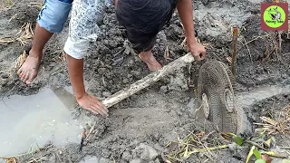 [How to Make a Simple Eel Fish Trap] Creative Boy Make Eel Fish Trap Using Fan Guard