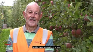 NZ apple orchards are getting a makeover | Local Focus