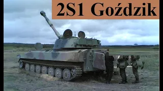 2S1 Goździk - opis, dane techniczne i historia