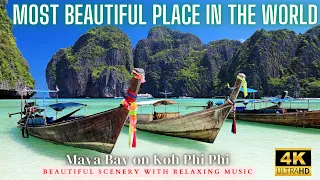 MOST BEAUTIFUL PLACE IN THE WORLD Maya Bay on Koh Phi Phi is now OPEN! 🇹🇭 Thailand