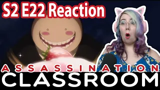 " Happy Birthday Time " - Assassination Classroom S2 Ep 22 Reaction - Zamber Reacts