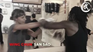 Wing Chun San Sao - Thierry Cuvillier  2018 Taiwan