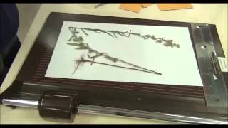 Mounting herbarium specimens-2.wmv