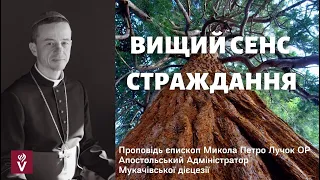 ВИЩИЙ СЕНС СТРАЖДАННЯ. Проповідь єпископ Микола Петро Лучок ОР