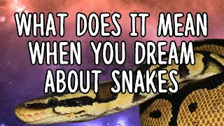 What Does It Mean When You Dream About Snakes?