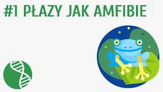 Płazy jak amfibie #1 [ Płazy ]