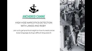 High Hide Narcotics Detection with Lance and Roby | Anchored Canine